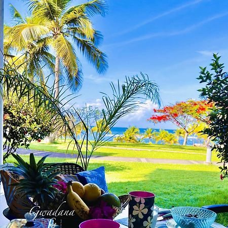 Acces Direct Plage, Vue Mer D'Exception, Les Gwada Studios, Village Vacances Sainte-Anne  Bagian luar foto