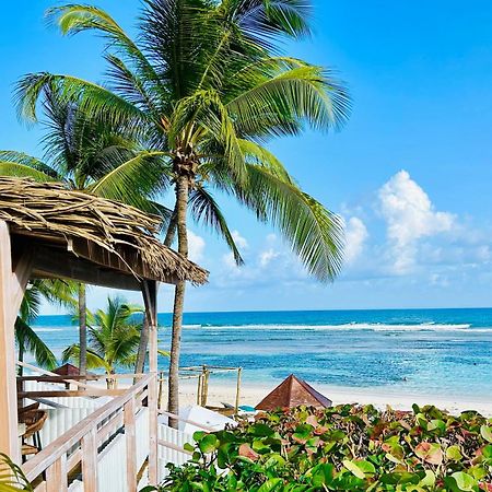 Acces Direct Plage, Vue Mer D'Exception, Les Gwada Studios, Village Vacances Sainte-Anne  Bagian luar foto