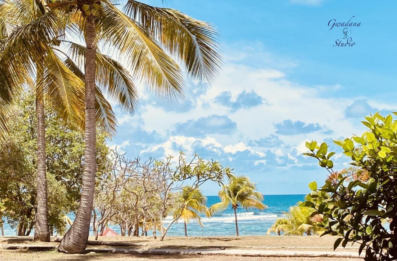 Acces Direct Plage, Vue Mer D'Exception, Les Gwada Studios, Village Vacances Sainte-Anne  Bagian luar foto