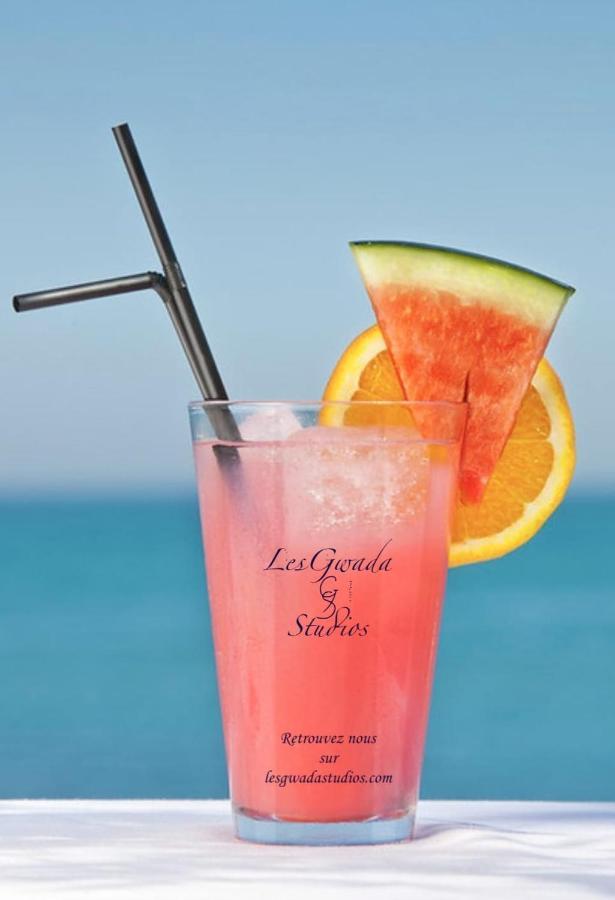Acces Direct Plage, Vue Mer D'Exception, Les Gwada Studios, Village Vacances Sainte-Anne  Bagian luar foto