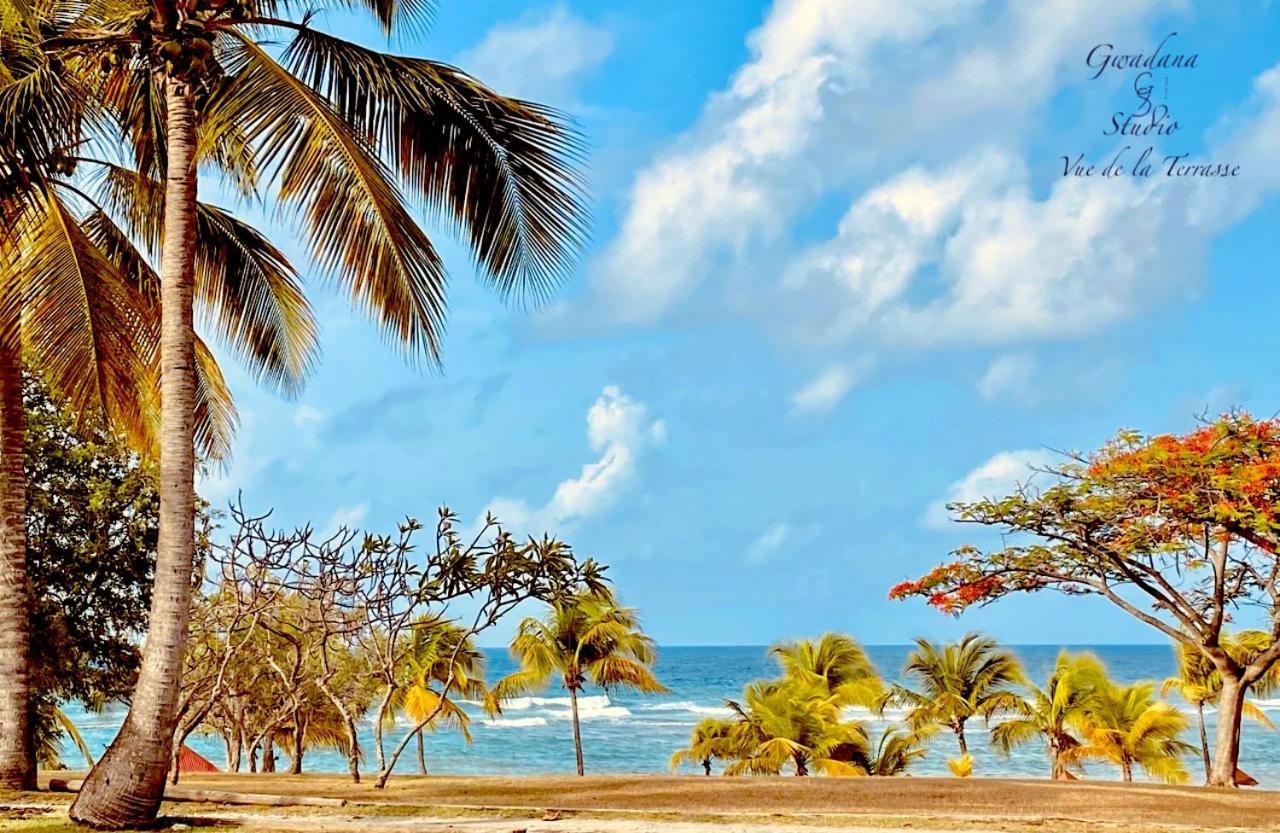 Acces Direct Plage, Vue Mer D'Exception, Les Gwada Studios, Village Vacances Sainte-Anne  Bagian luar foto