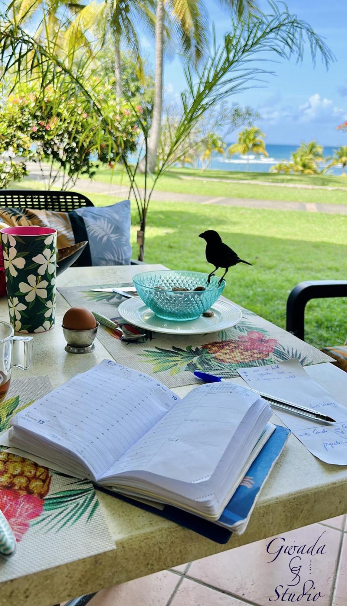 Acces Direct Plage, Vue Mer D'Exception, Les Gwada Studios, Village Vacances Sainte-Anne  Bagian luar foto