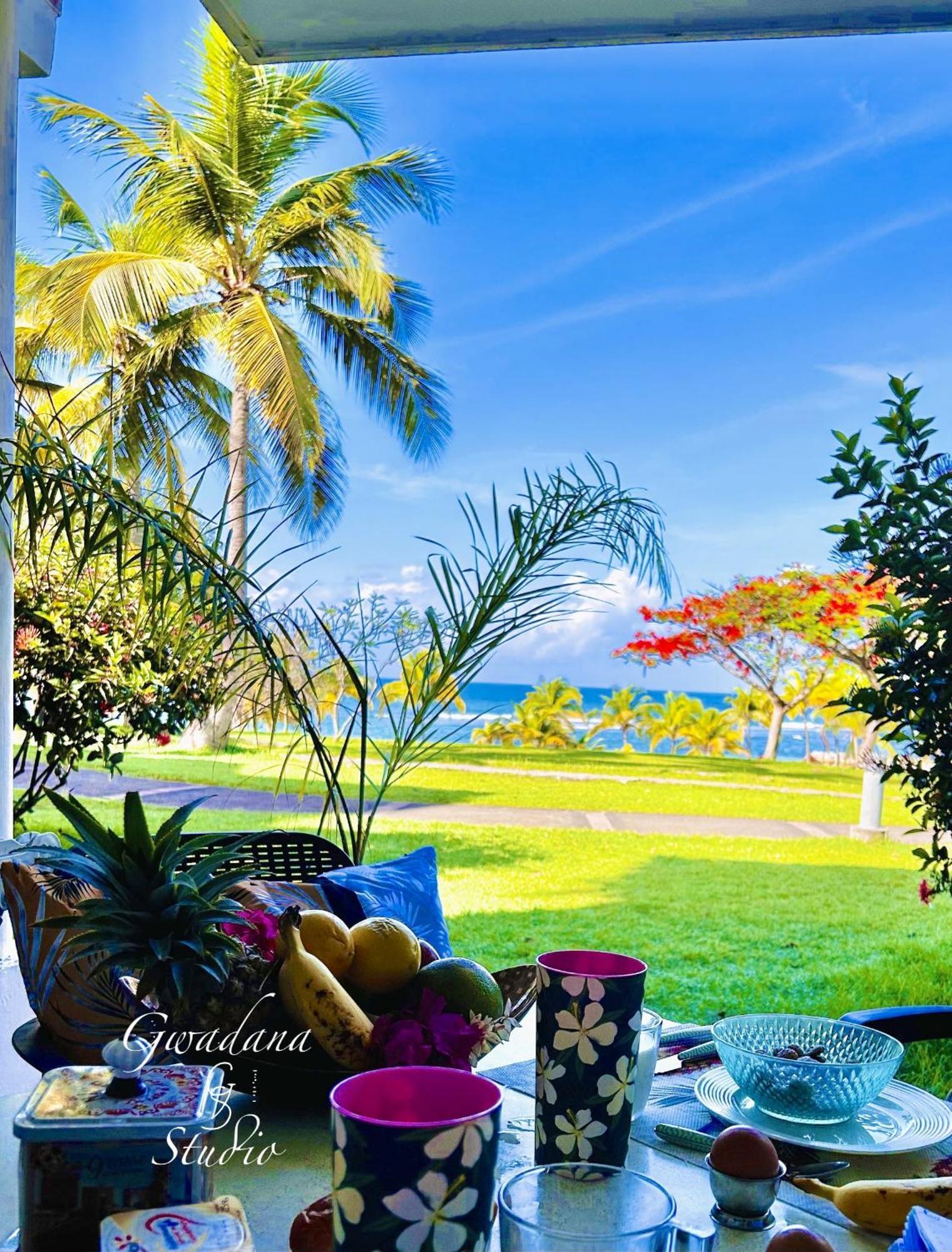 Acces Direct Plage, Vue Mer D'Exception, Les Gwada Studios, Village Vacances Sainte-Anne  Bagian luar foto