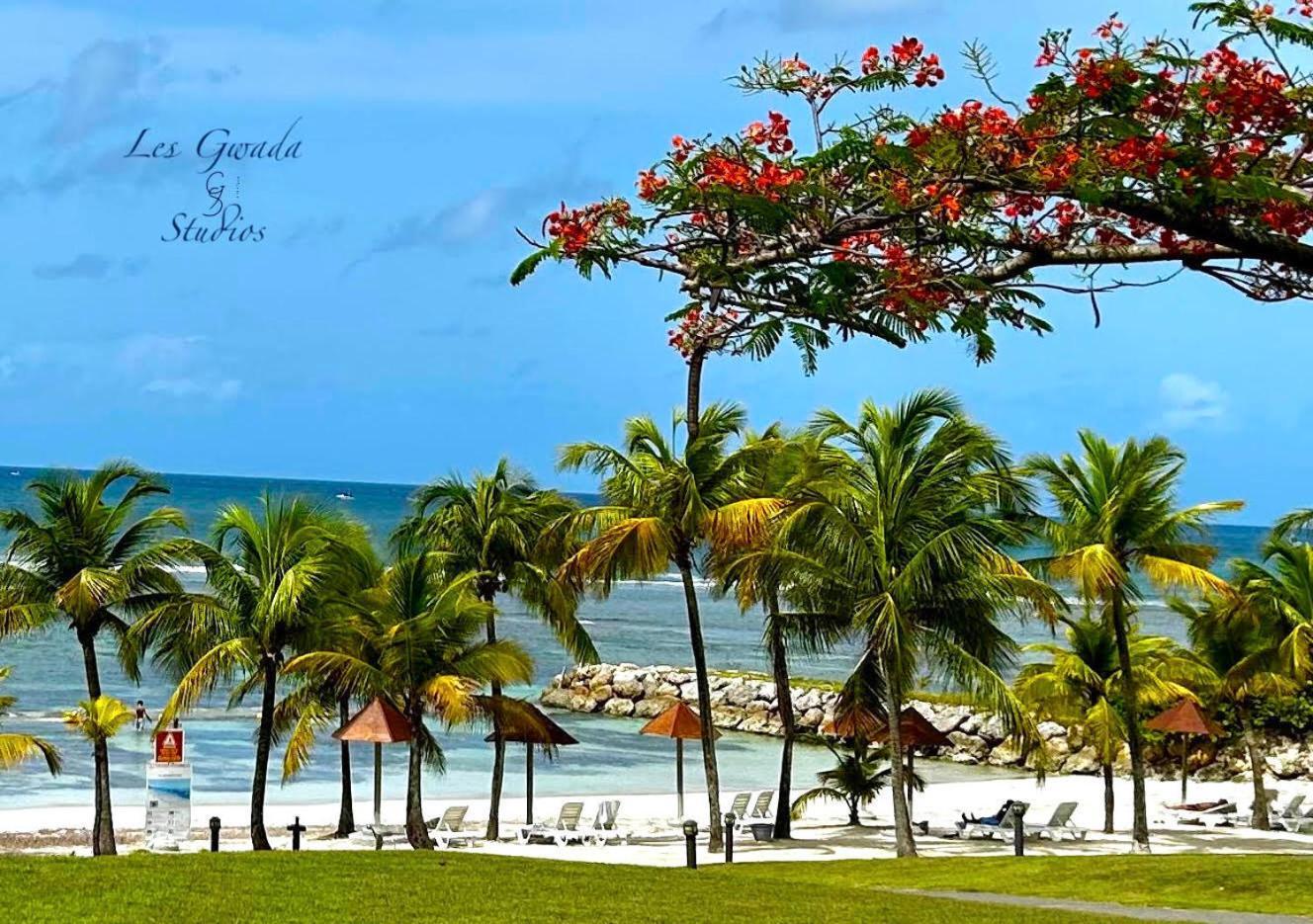 Acces Direct Plage, Vue Mer D'Exception, Les Gwada Studios, Village Vacances Sainte-Anne  Bagian luar foto